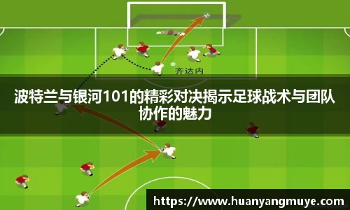 zoty中欧官方网站