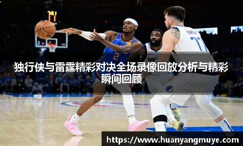 zoty中欧