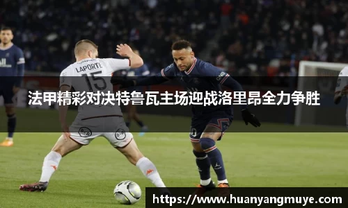 zoty中欧