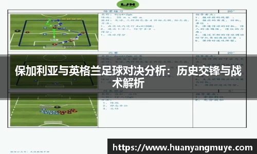 zoty中欧官网
