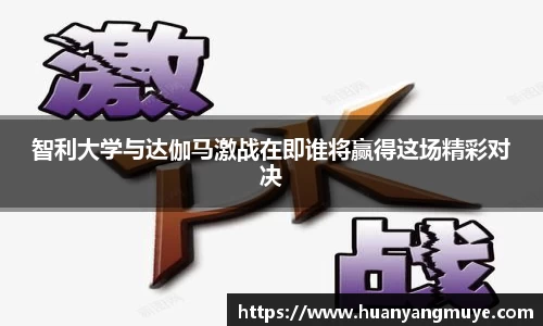zoty中欧官网