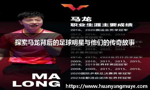 zoty中欧