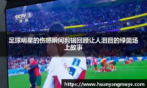 zoty中欧官网