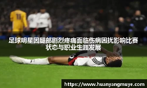 zoty中欧官网