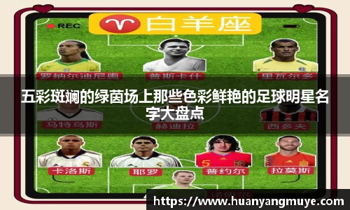 五彩斑斓的绿茵场上那些色彩鲜艳的足球明星名字大盘点