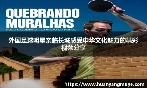 zoty中欧官方网站